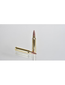 .223 REM 55GR V-MAX SUBSONIC